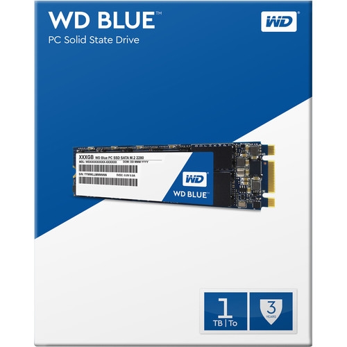 Western Digital WD 1TB Blue SATA III M.2 Internal SSD | WDS100T1B0B